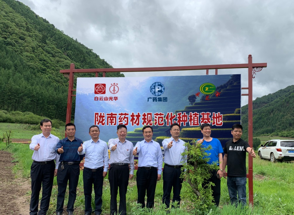 药材好，，，药才好 ——白云山小柴胡颗粒北柴胡规范化莳植基地正式揭牌！！