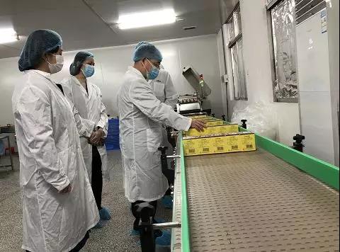 同心抗疫，，，确保质量！！！亚洲必赢公司振隆厂外车间接受广药集团生产监视包管小组事情督导