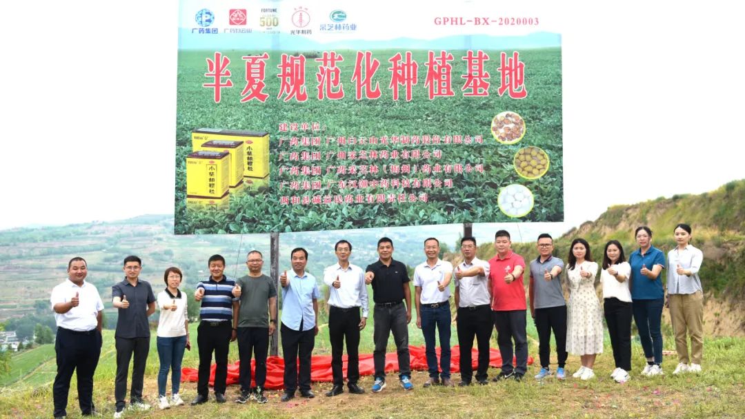 白云山亚洲必赢公司实地考察调研中药材规范化基地